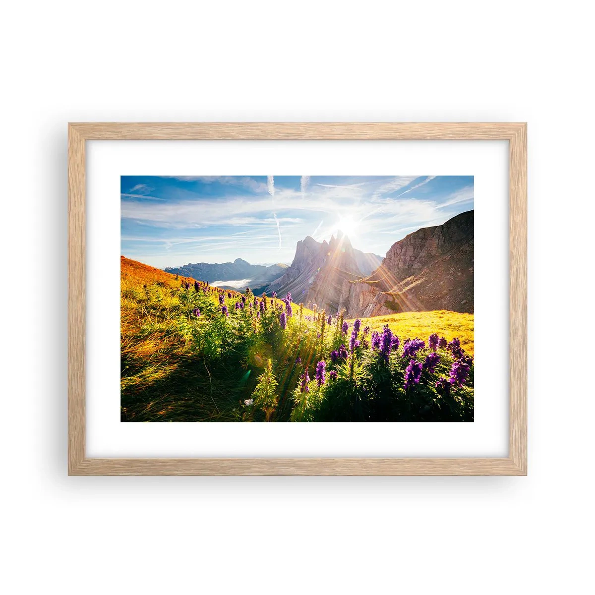 Plagát v ráme zo svetlého duba - Tajomný život bylín - 40x30 cm