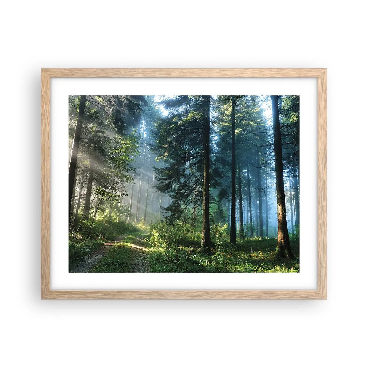 Plagát v ráme zo svetlého duba - Žiariaci za úsvitu - 50x40 cm