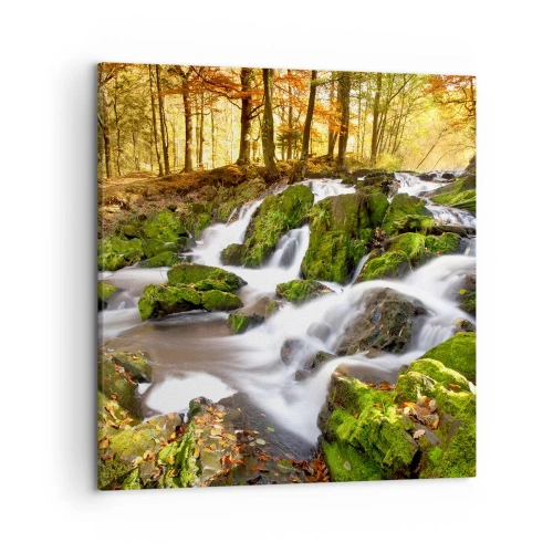 Obraz na plátne - Chvatom jesenným lesom - 50x50 cm