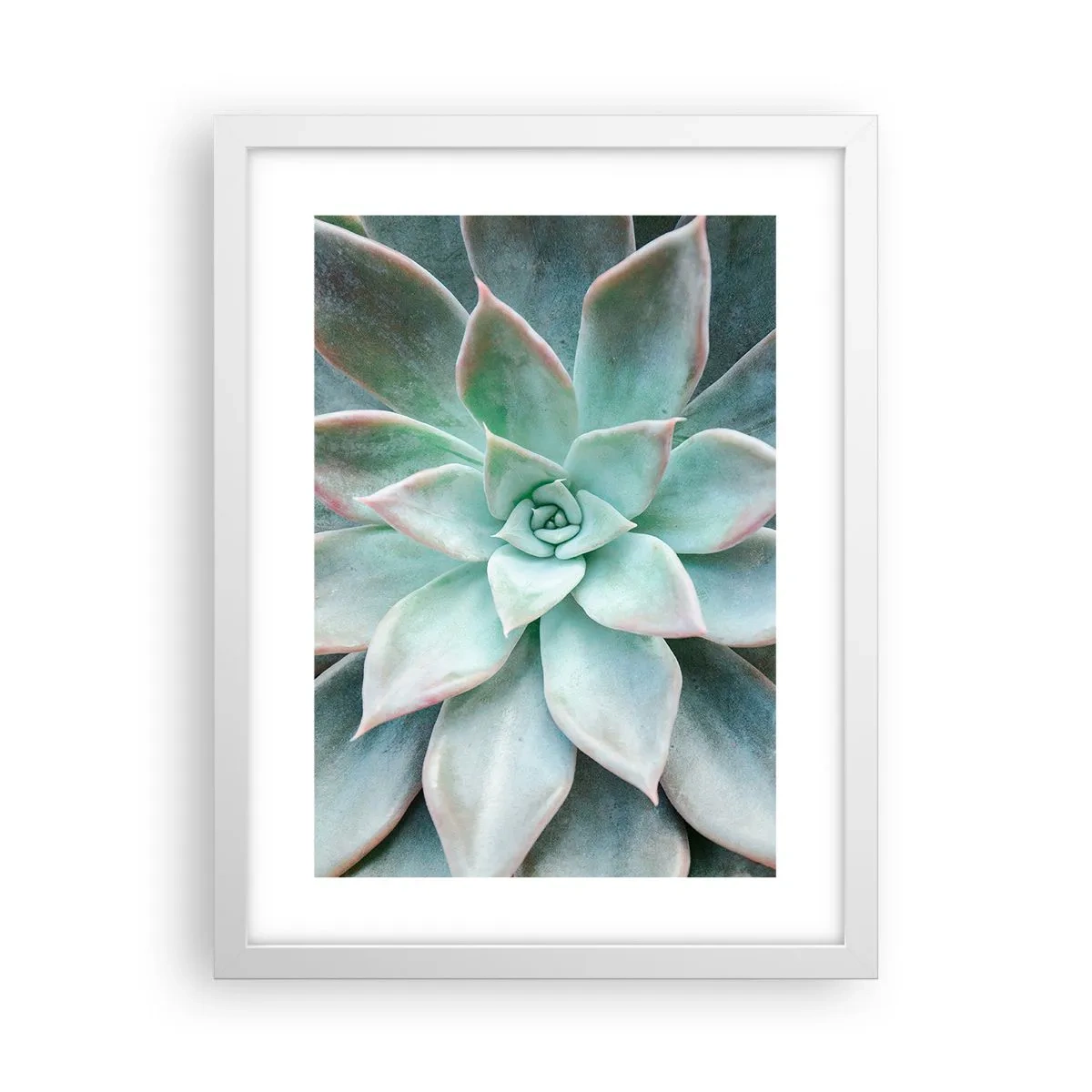 Plagát v bielom ráme - Srdce púšte - 30x40 cm