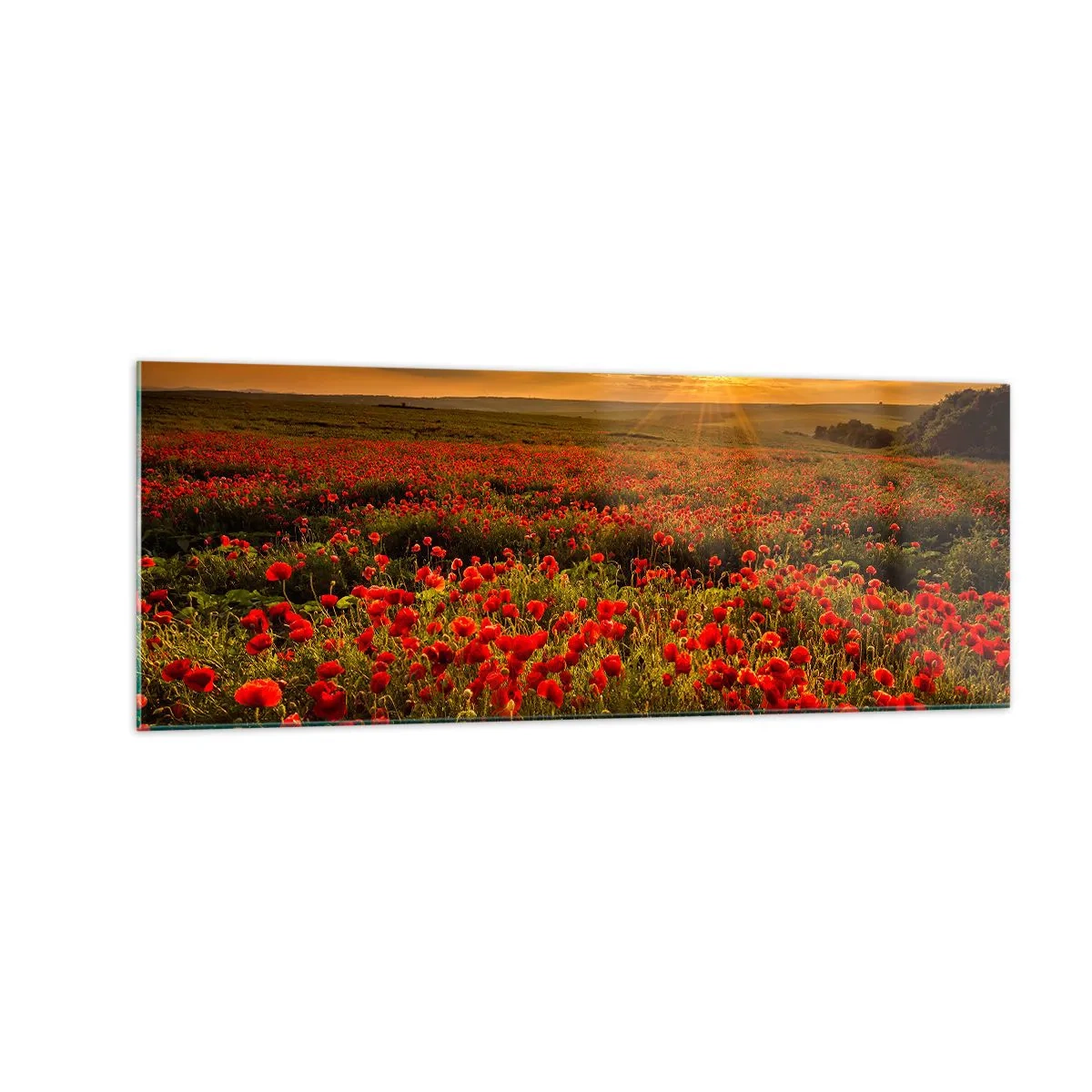 Obraz na skle - Medzi vlnami šumiacich lúk, medzi záplavou kvetov - 140x50 cm
