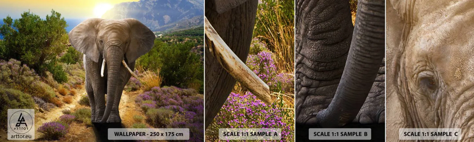 Vzorka samolepiacej fototapety Deluxe Sticker - Tak vyzeral Raj - Zvieratá, Slon, Safari - 100x30 cm