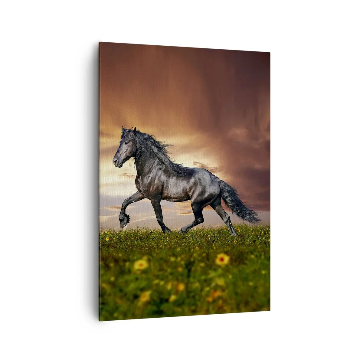 Obraz na plátne - Čierny knieža - 70x100 cm