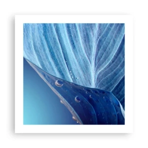 Plagát - Skryté kvapky modrej - 50x50 cm