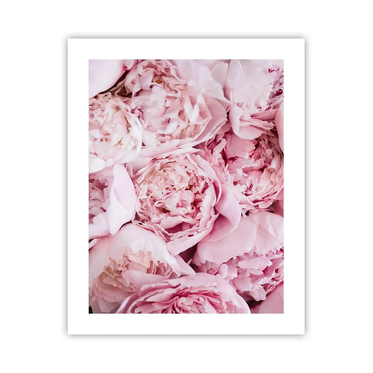 Plagát - Pritúlené a voňavé - 40x50 cm