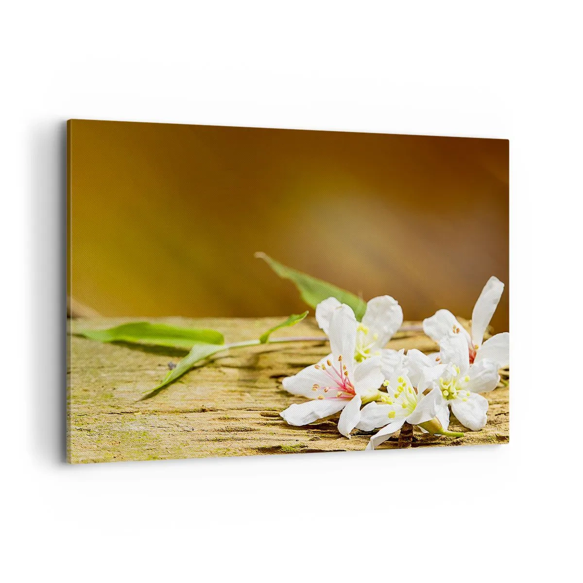 Obraz na plátne - Nevinný prísľub - 120x80 cm