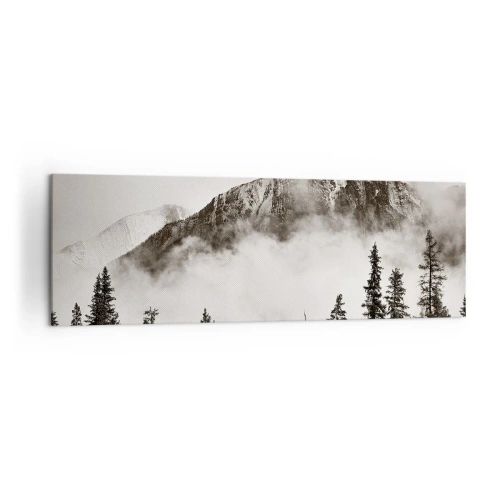 Obraz na plátne - Žulový panovník - 160x50 cm