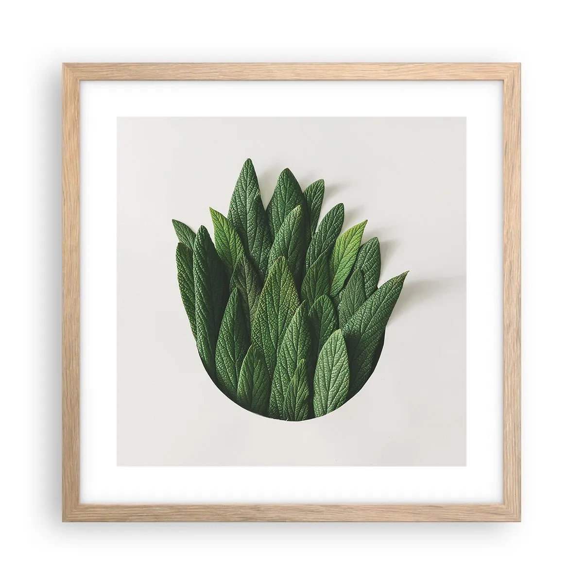 Plagát v ráme zo svetlého duba - Neukojiteľná zvedavosť - 40x40 cm