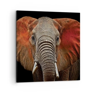 Obraz na plátne - Som divoký, a ty? - 50x50 cm