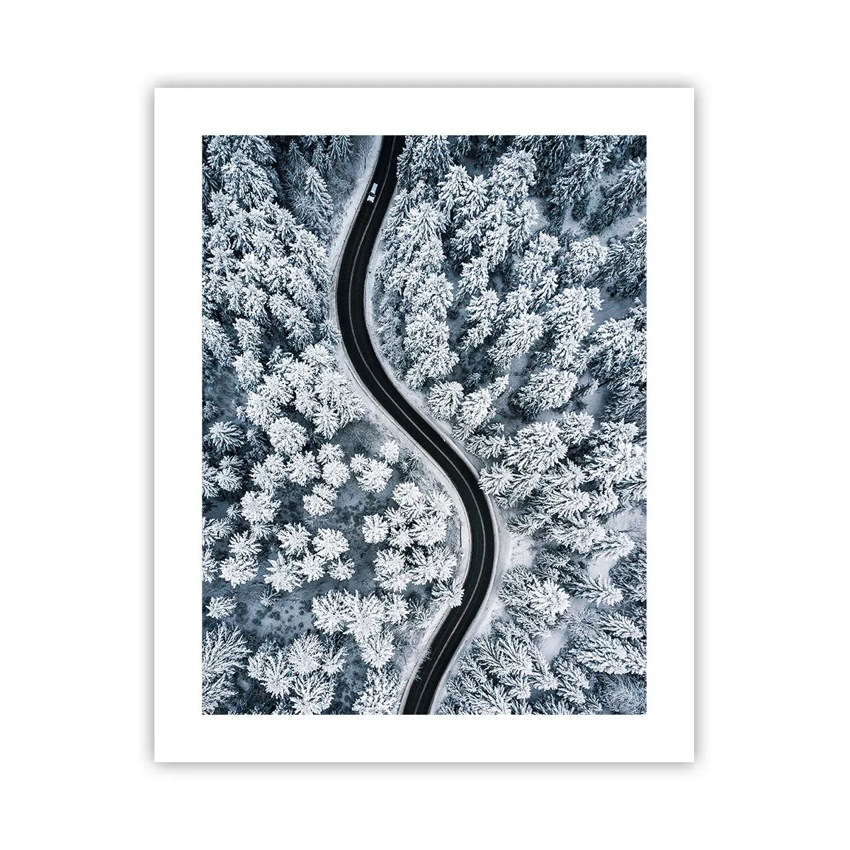 Plagát - Zimným lesom - 40x50 cm