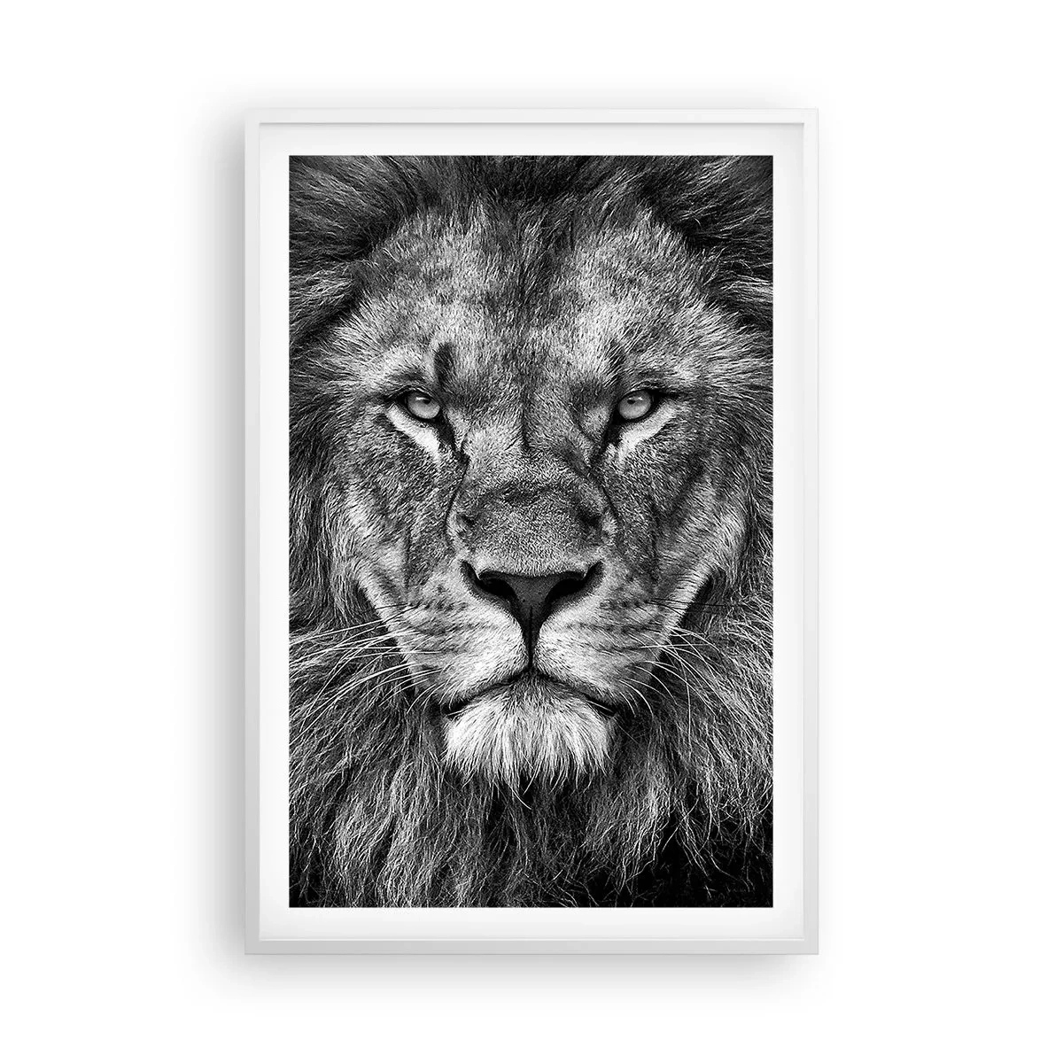 Plagát v bielom ráme - V korunovačnom odeve - 61x91 cm