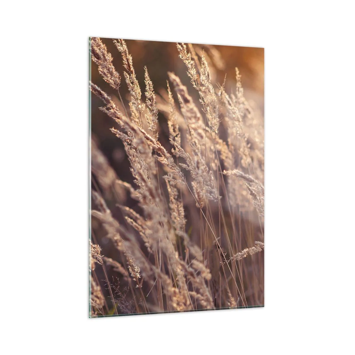 Obraz na skle - Pripravení privítať jeseň - 50x70 cm
