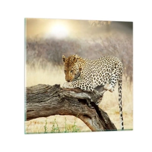 Obraz na skle - Chodím vlastnými cestami - 60x60 cm