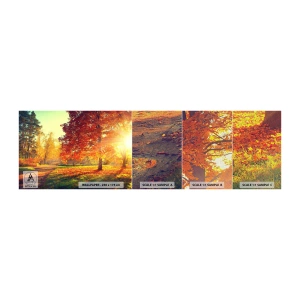 Vzorka fototapety Premium Canvas - Červené je krásne - Krajina, Park, Príroda - 100x30 cm