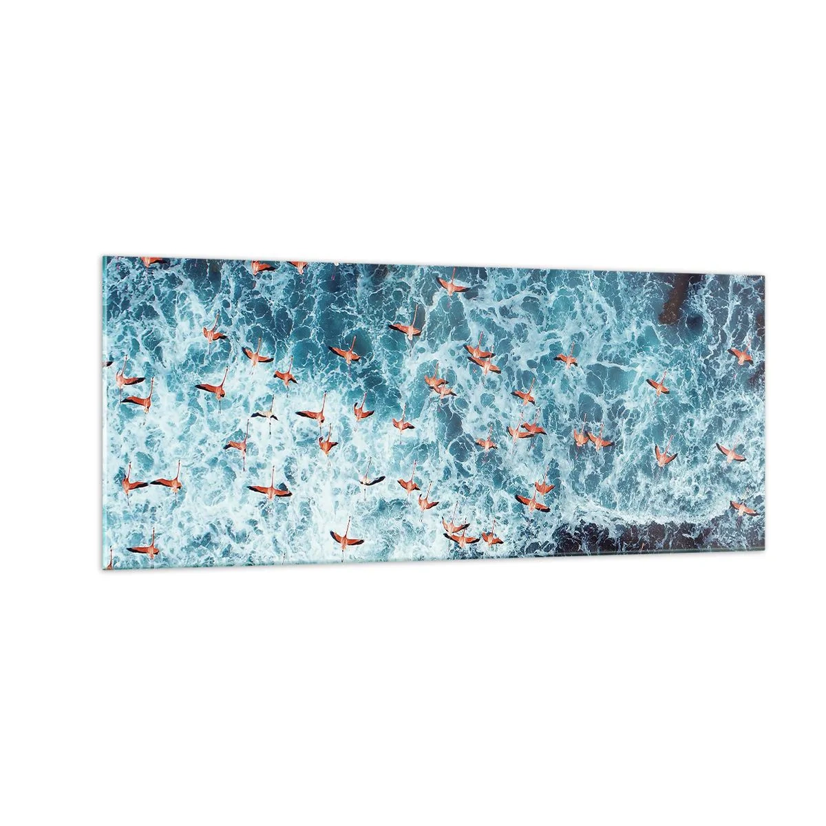 Obraz na skle - Prímorský sprievod - 100x40 cm
