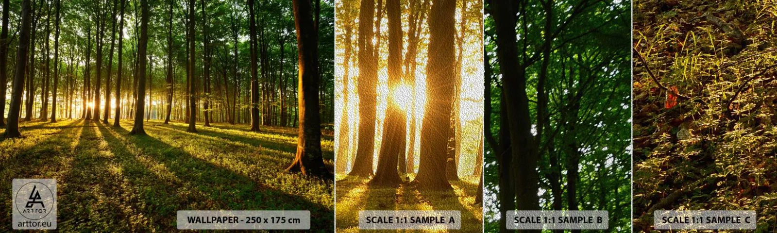 Vzorka fototapety Premium Sand - Fotografie všetkých jarí - Krajina, les, Príroda - 100x30 cm