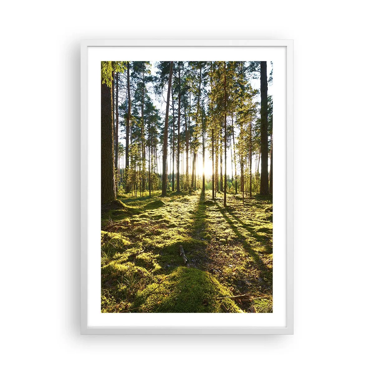 Plagát v bielom ráme - …Za siedmimi lesmi - 50x70 cm