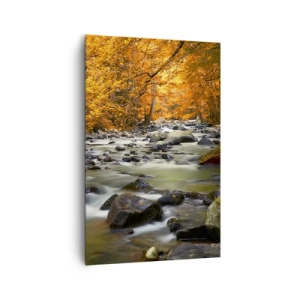 Obraz na plátne - Potok v zlatom lese - 80x120 cm