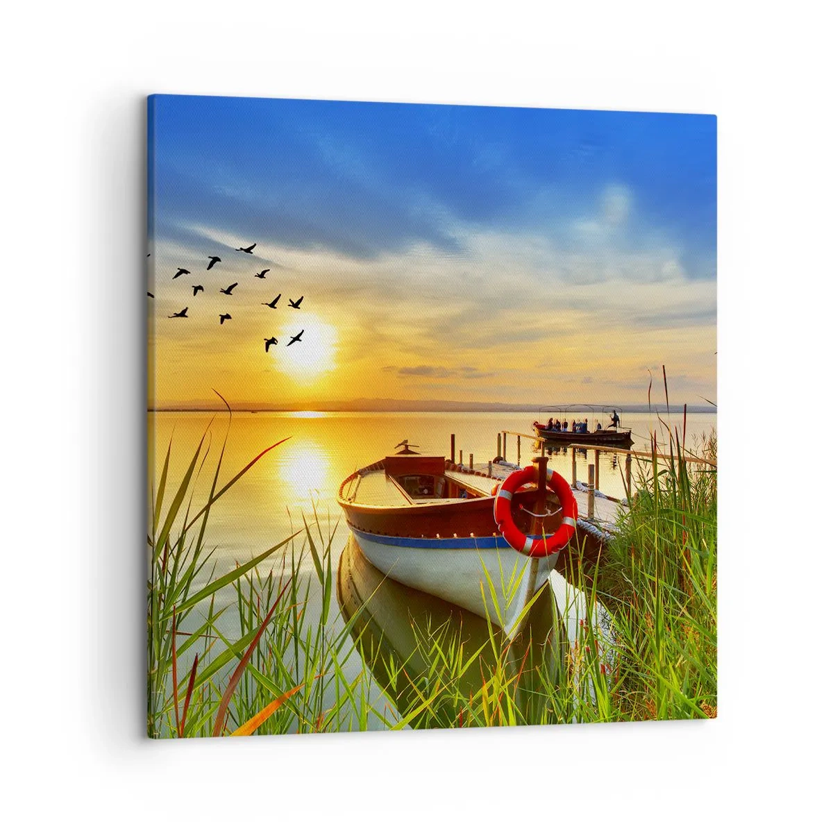 Obraz na plátne - Kormorány už odlietajú - 50x50 cm