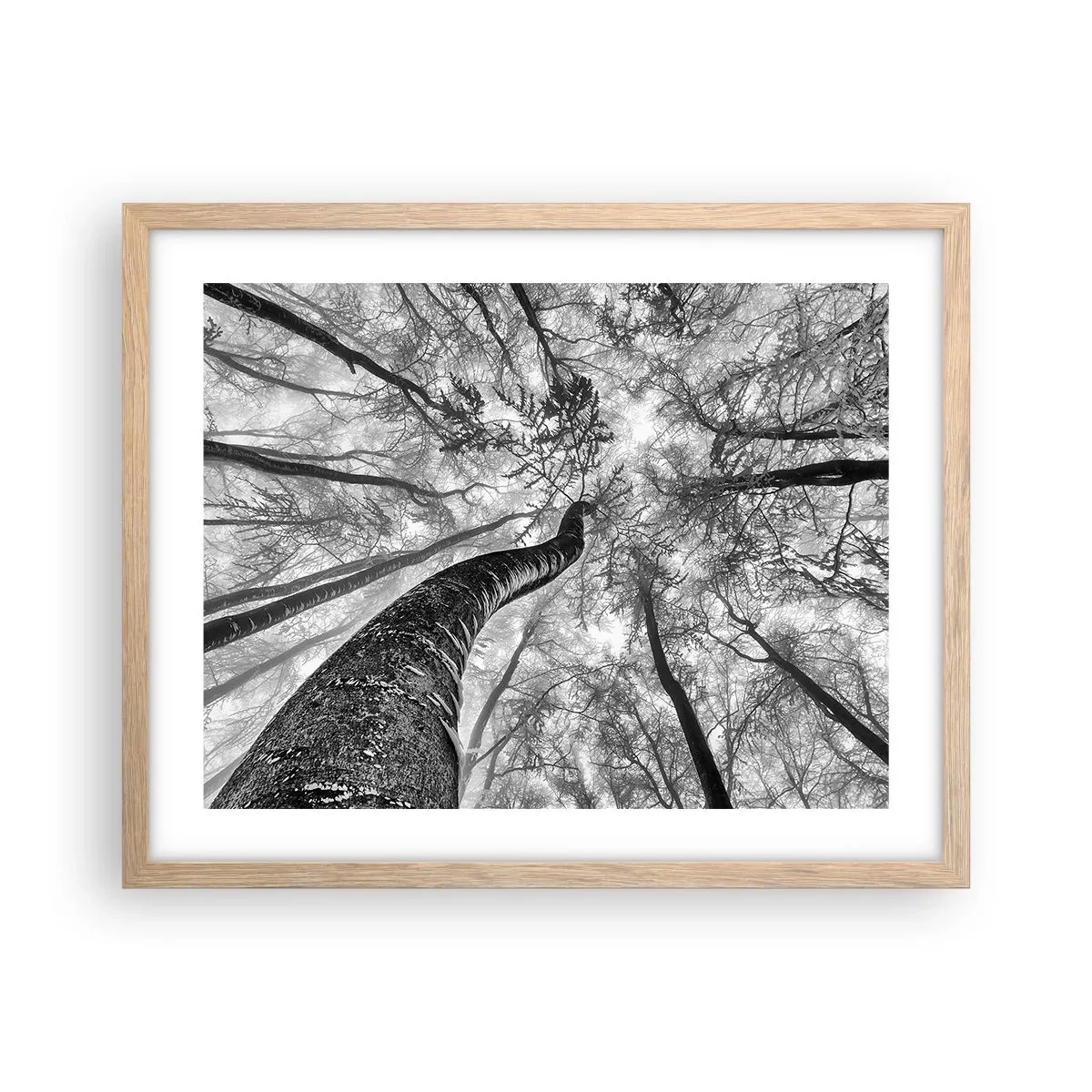 Plagát v ráme zo svetlého duba - Závod ku svetlu - 50x40 cm
