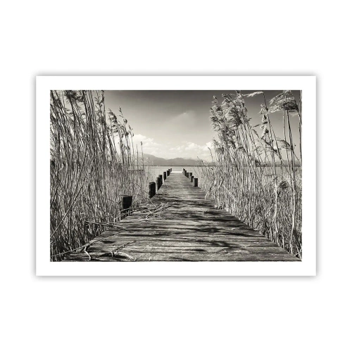 Plagát - V ústraní tráv - 70x50 cm