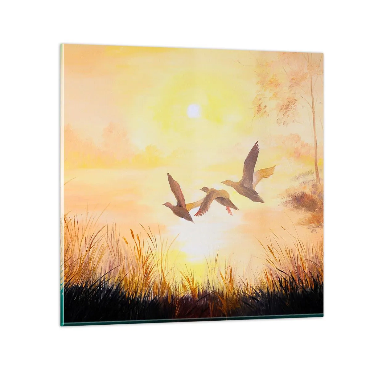 Obraz na skle - Začiatok ďalekej cesty - 40x40 cm