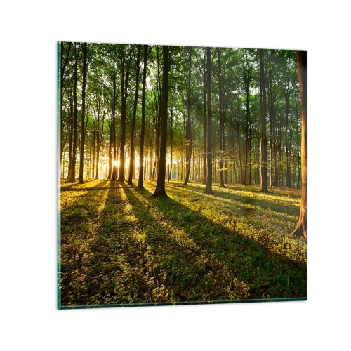 Obraz na skle - Fotografie všetkých jarí - 60x60 cm