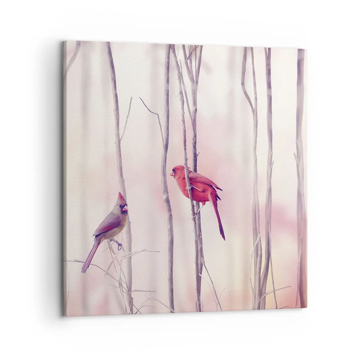 Obraz na plátne - Príbeh ružového lesa - 50x50 cm