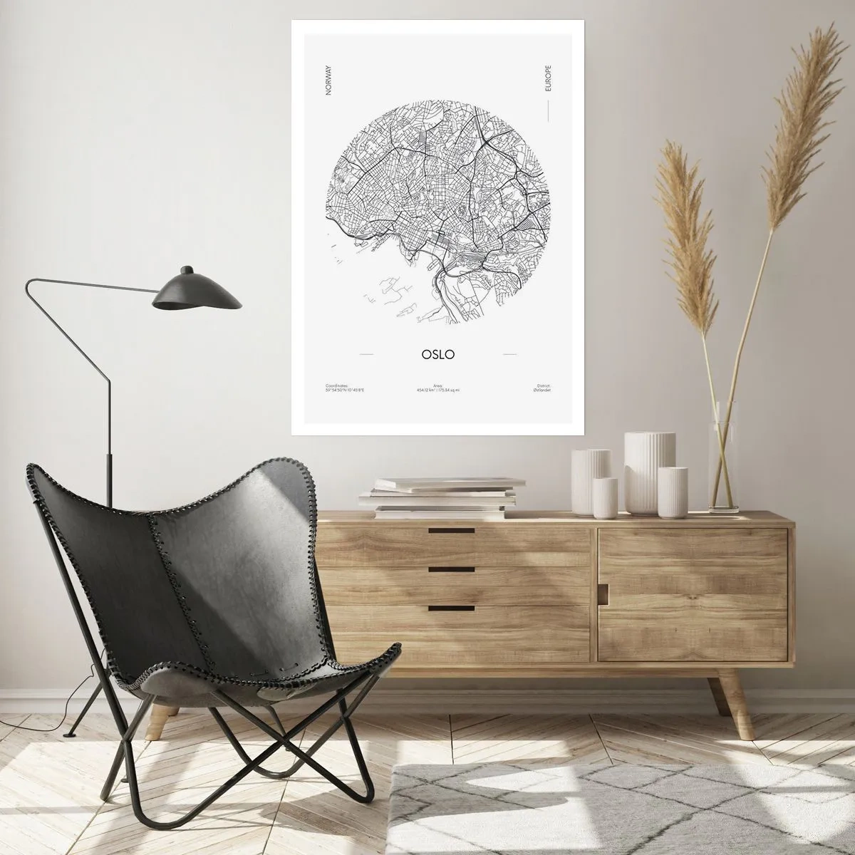 Plagát - Anatómia Osla - 61x91 cm