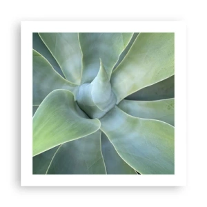 Plagát - Zrodenie zelene - 50x50 cm