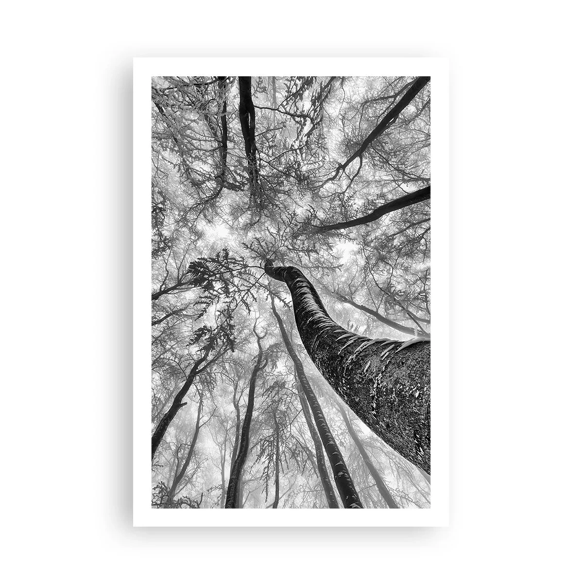 Plagát - Závod ku svetlu - 61x91 cm