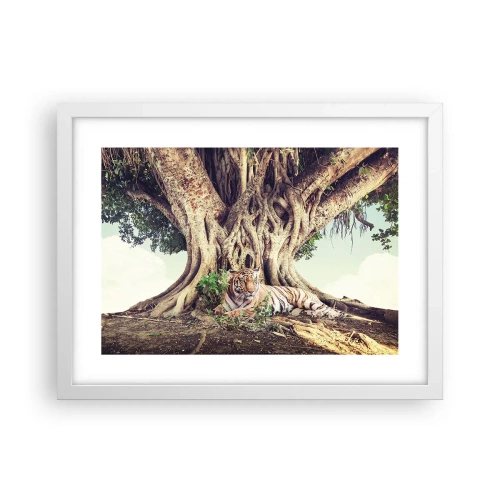 Plagát v bielom ráme - Pohľad z knihy Mojžišovej - 40x30 cm