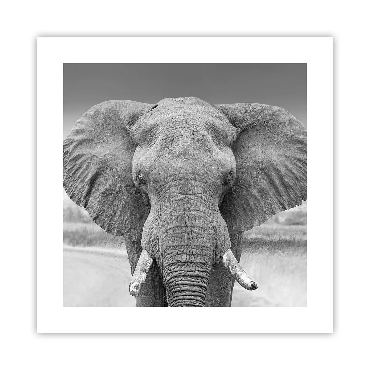 Plagát - Vitajte v mojom svete - 40x40 cm