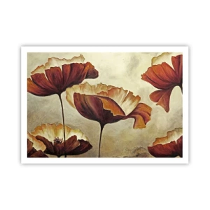 Plagát - Lán lúky - 100x70 cm