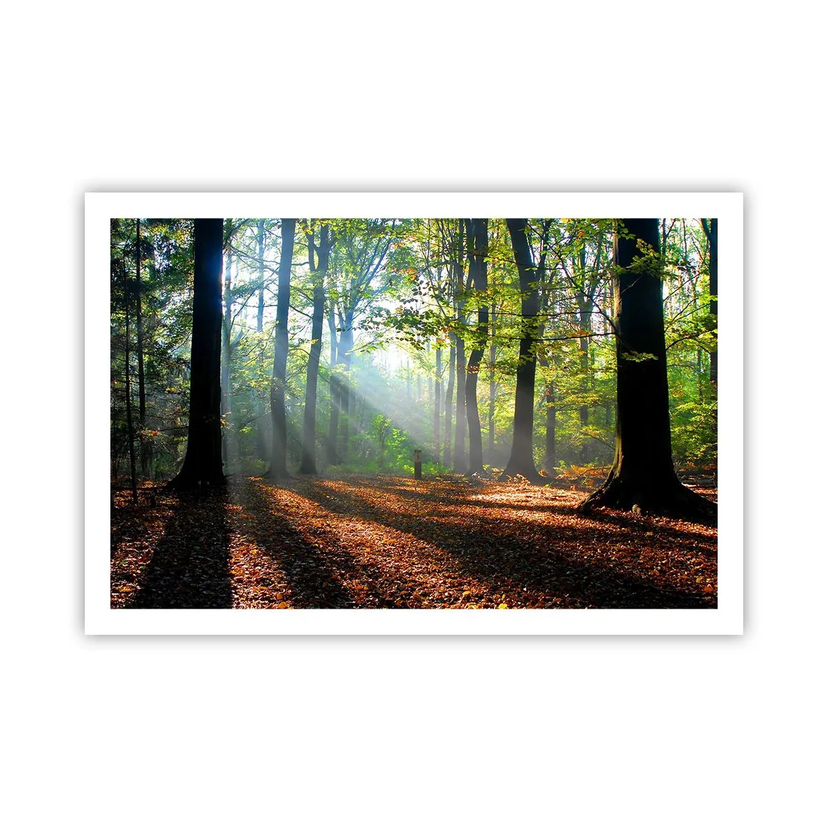 Plagát - Svetlá a tiene - 91x61 cm