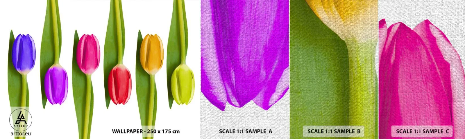 Vzorka fototapety Premium Canvas - Dúhová kompozícia - Kvety, Tulipány, Príroda - 100x30 cm