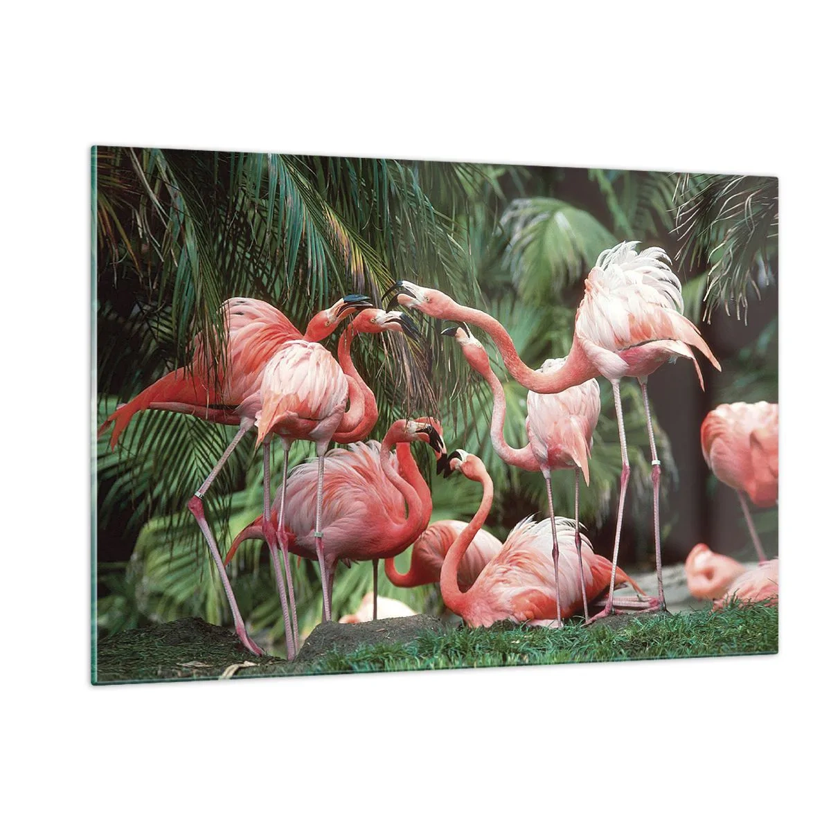 Obraz na skle - Popoludňajšie klebety - 120x80 cm
