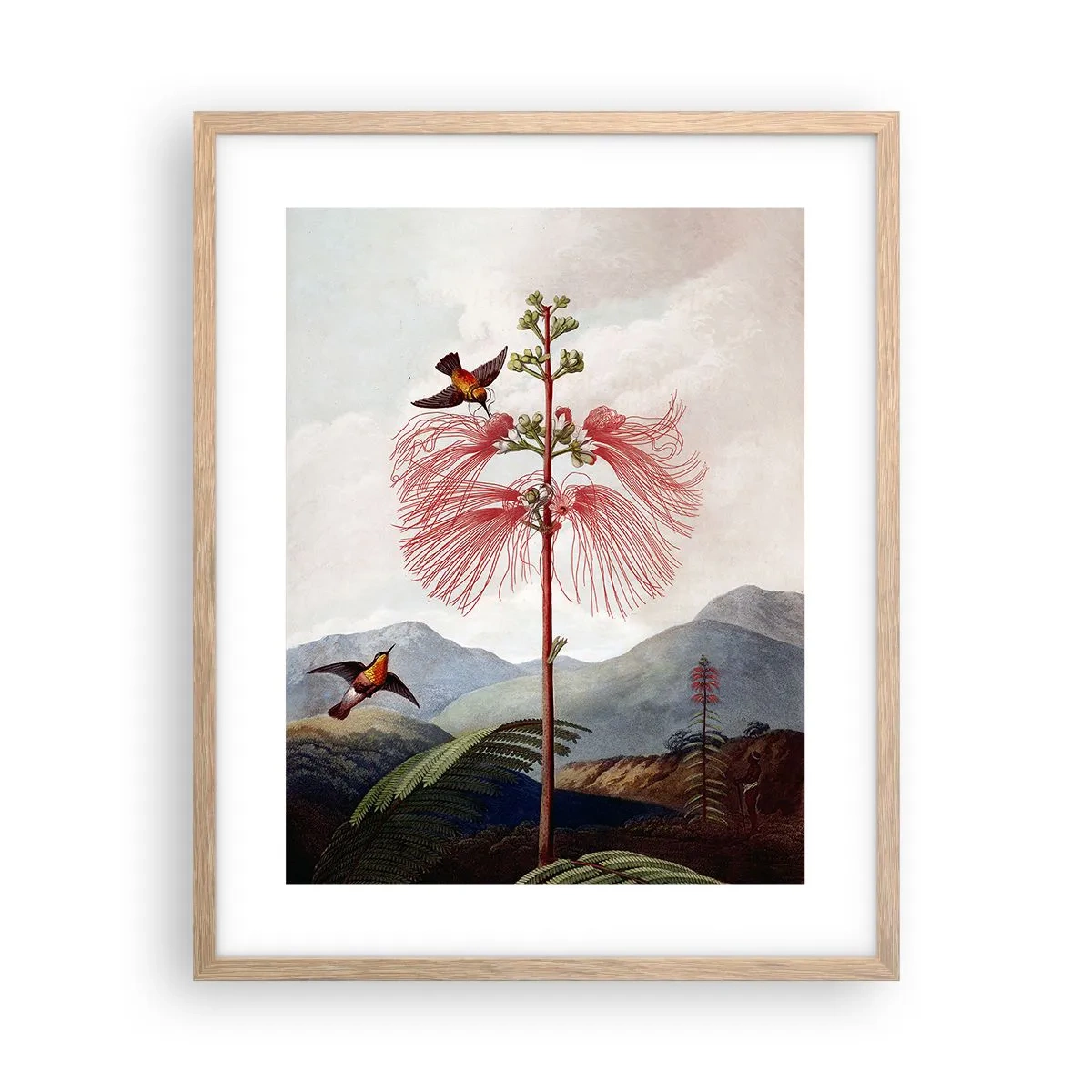 Plagát v ráme zo svetlého duba - V tropickom raji - 40x50 cm
