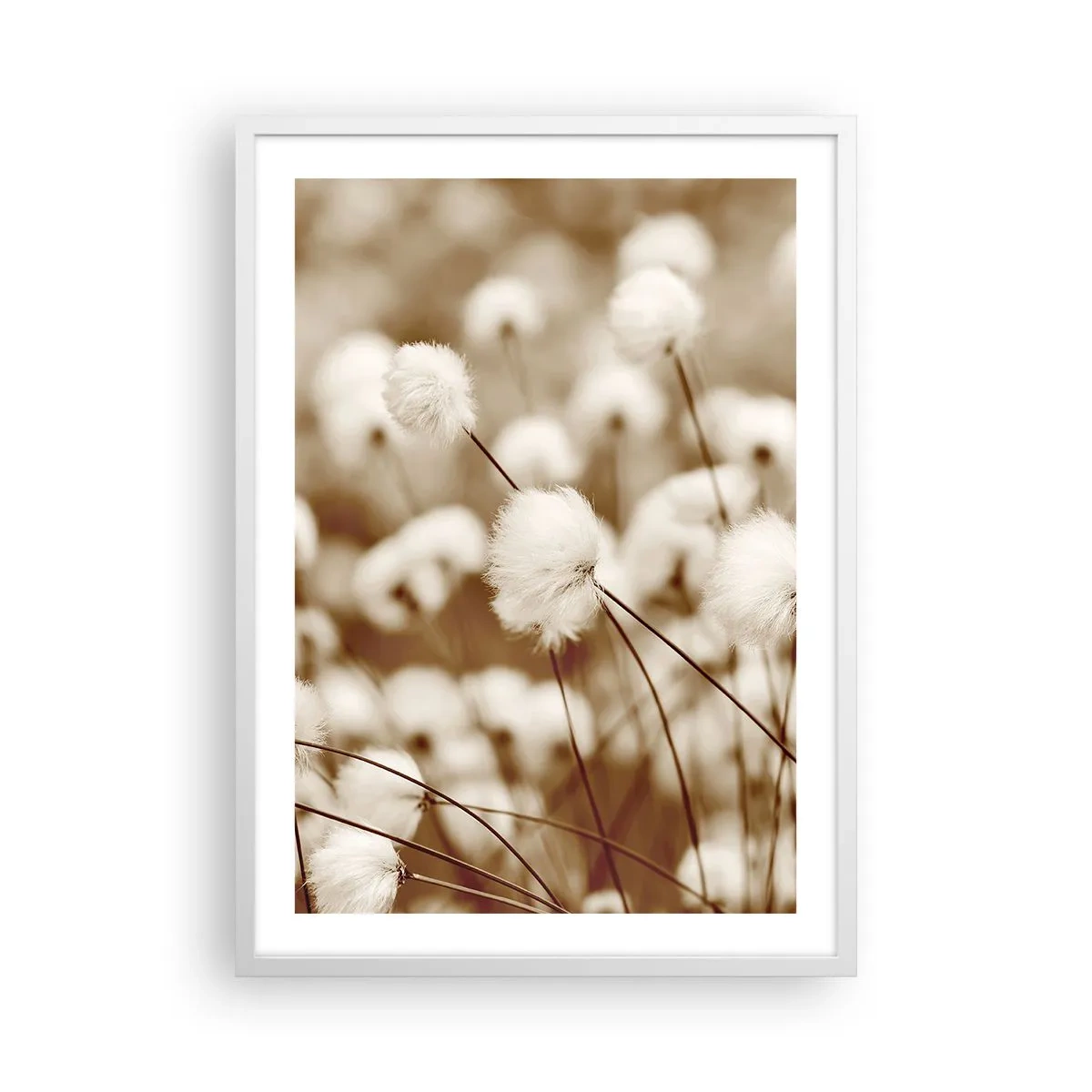 Plagát v bielom ráme - Chlpatý lán - 50x70 cm