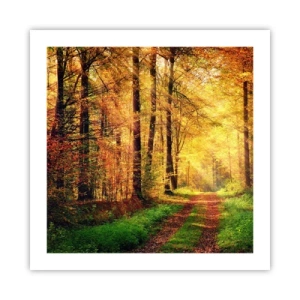 Plagát - Lesno-zlaté ticho - 50x50 cm