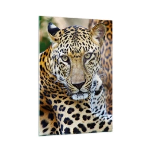 Obraz na skle - Divoký a pokojný - 80x120 cm