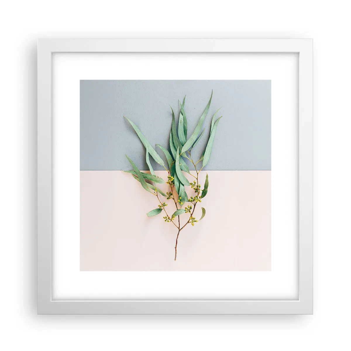 Plagát v bielom ráme - Pastelová jemnosť - 30x30 cm