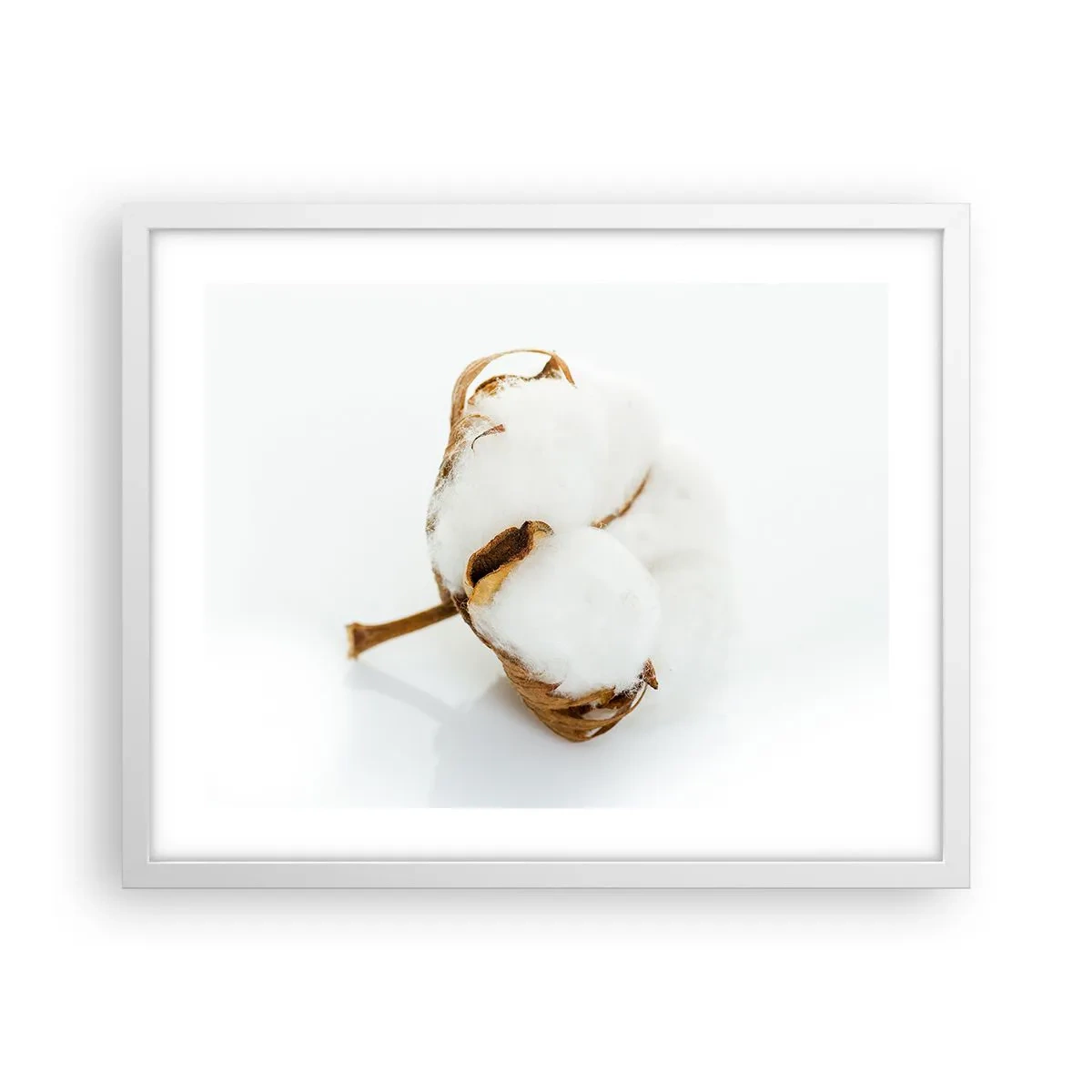 Plagát v bielom ráme - Mäkká od prírody - 50x40 cm