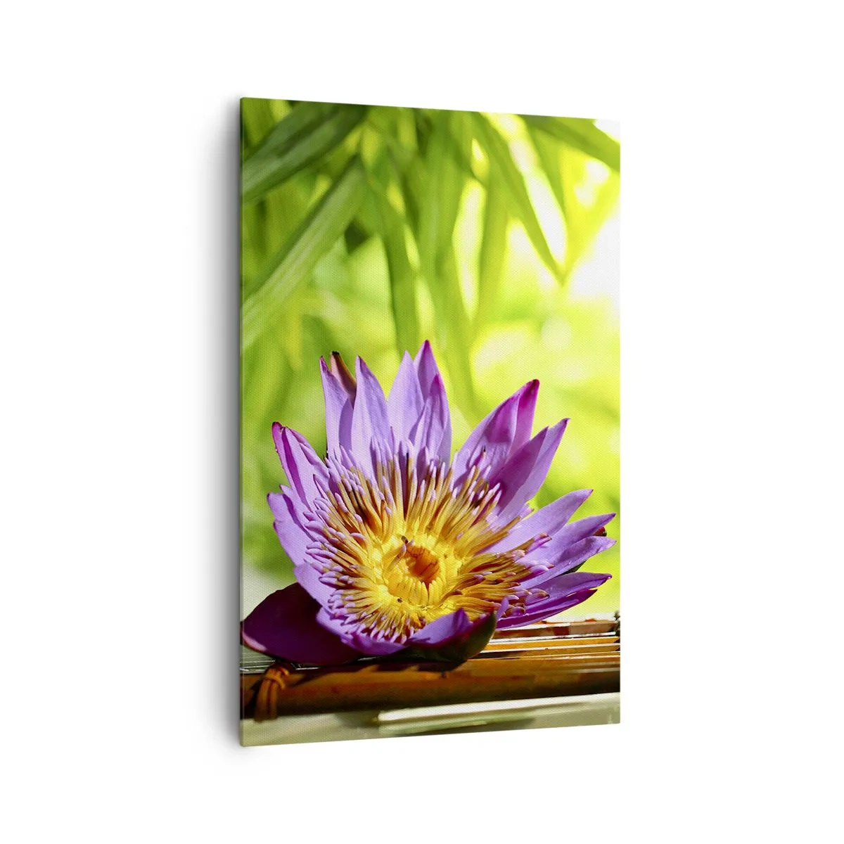 Obraz na plátne - Na ázijskom slnku - 80x120 cm