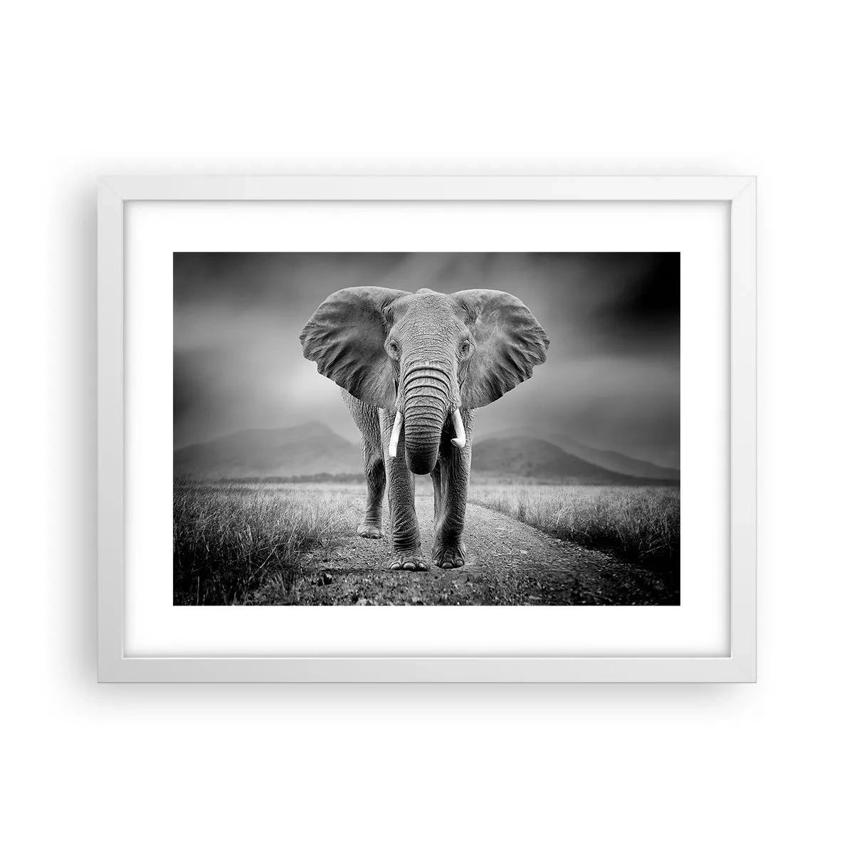 Plagát v bielom ráme - Hostiteľ víta - 40x30 cm