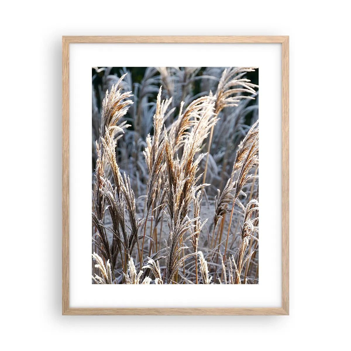 Plagát v ráme zo svetlého duba - Mrazom pokryté - 40x50 cm