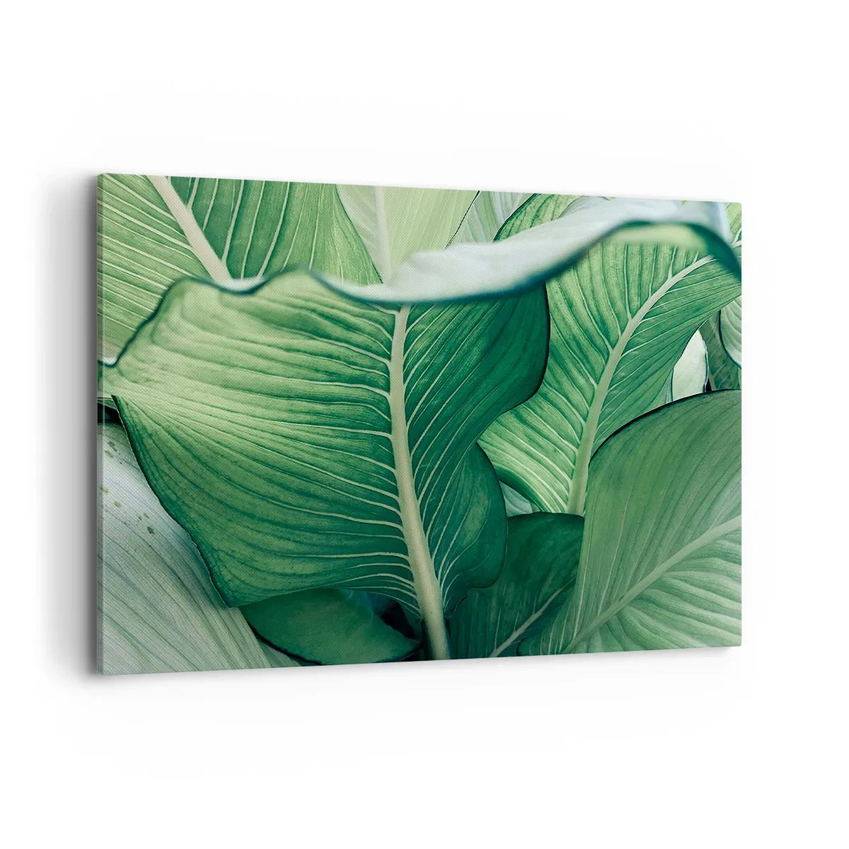 Obraz na plátne - Intenzívne zelený život - 100x70 cm