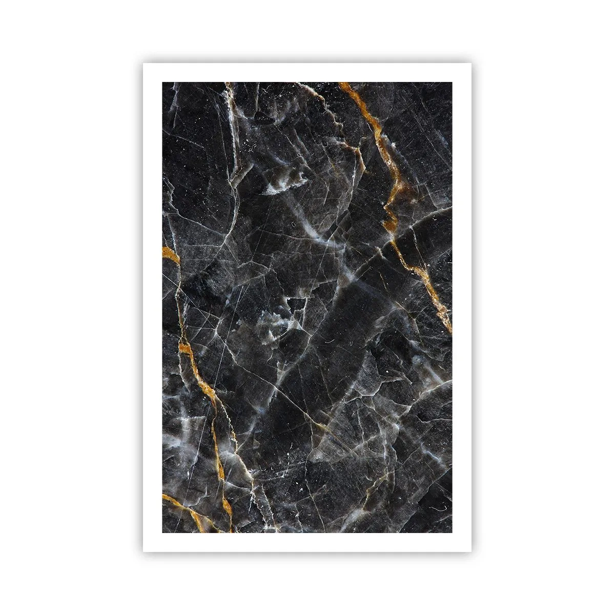 Plagát - Vnútorný život kameňa - 61x91 cm