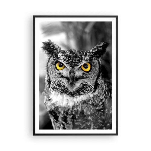 Plagát v čiernom ráme - Nič sa neschová - 70x100 cm