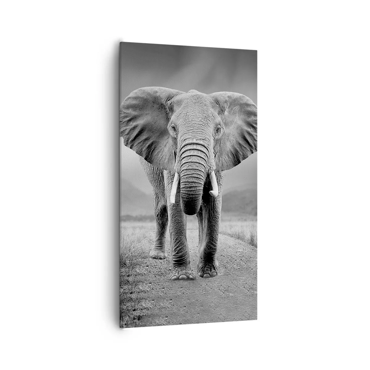 Obraz na plátne - Hostiteľ víta - 65x120 cm